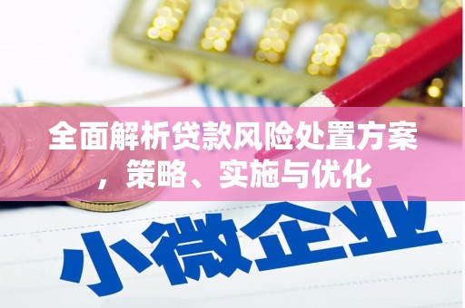 门源全面解析贷款风险处置方案，策略、实施与优化