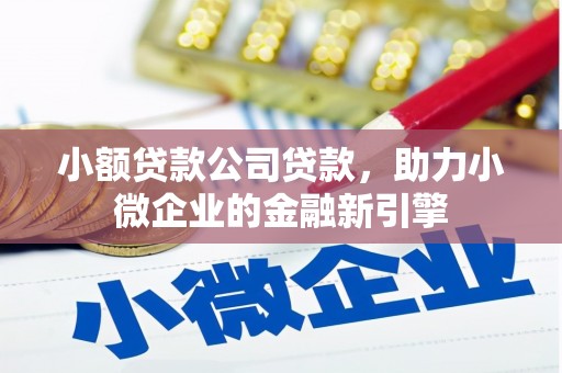 门源小额贷款公司贷款，助力小微企业的金融新引擎