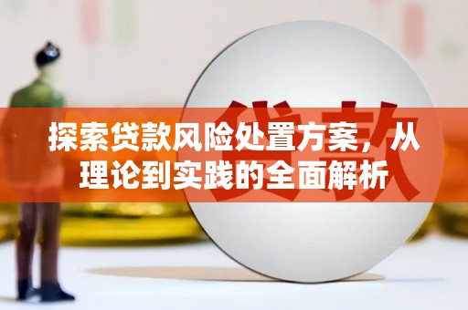 门源探索贷款风险处置方案，从理论到实践的全面解析