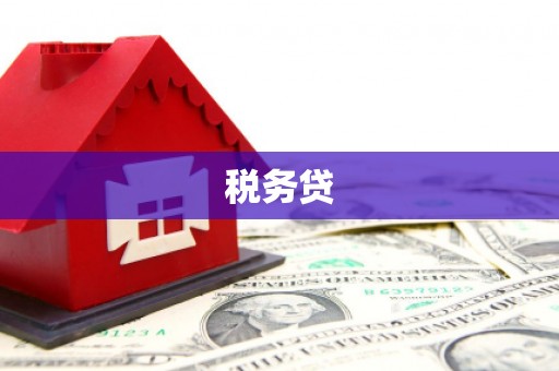 门源税务贷
