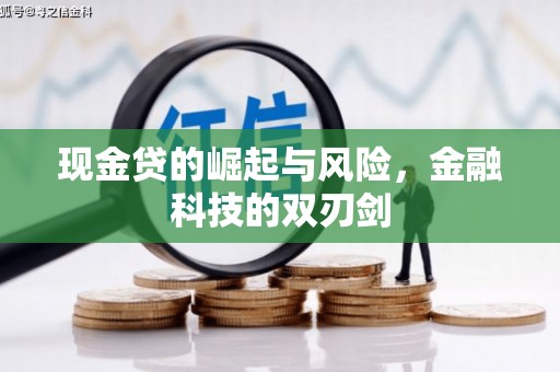 门源现金贷的崛起与风险，金融科技的双刃剑