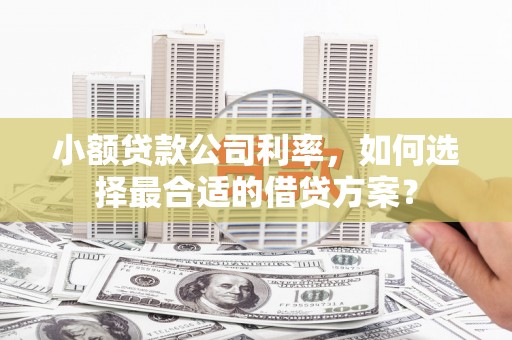 门源小额贷款公司利率，如何选择最合适的借贷方案？