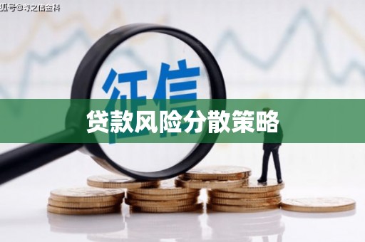 门源贷款风险分散策略