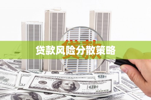 门源贷款风险分散策略