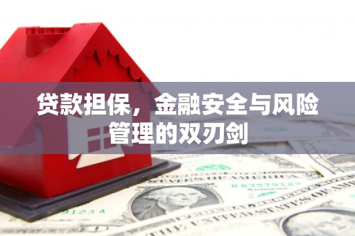 门源贷款担保，金融安全与风险管理的双刃剑