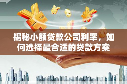 门源揭秘小额贷款公司利率，如何选择最合适的贷款方案
