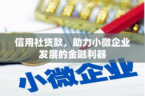 门源信用社贷款，助力小微企业发展的金融利器