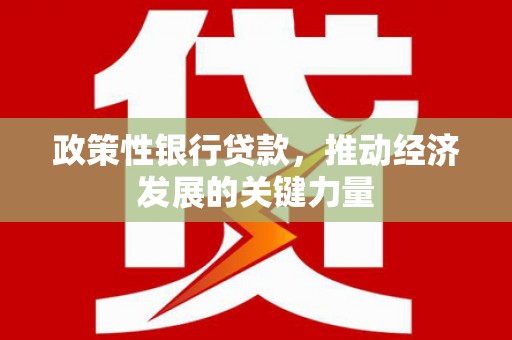门源政策性银行贷款，推动经济发展的关键力量