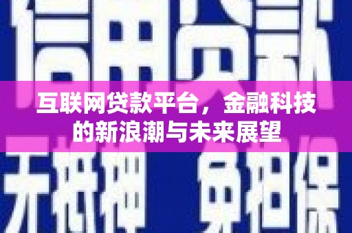 门源互联网贷款平台，金融科技的新浪潮与未来展望