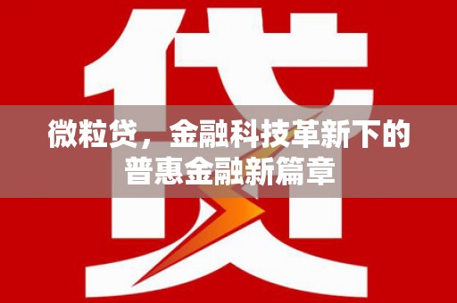 门源微粒贷，金融科技革新下的普惠金融新篇章