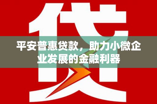 门源平安普惠贷款，助力小微企业发展的金融利器