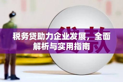 门源税务贷助力企业发展，全面解析与实用指南