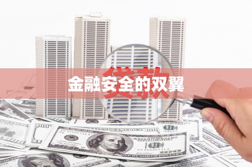 门源金融安全的双翼