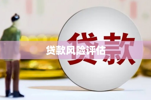 门源贷款风险评估