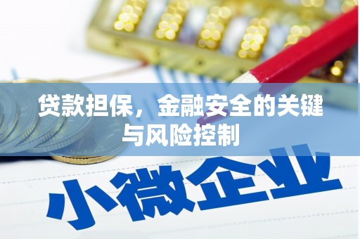 门源贷款担保，金融安全的关键与风险控制