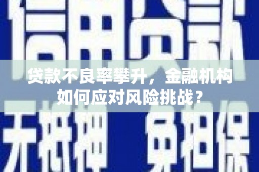 门源贷款不良率攀升，金融机构如何应对风险挑战？
