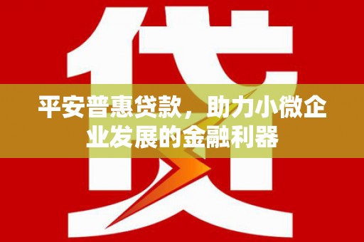 门源平安普惠贷款，助力小微企业发展的金融利器