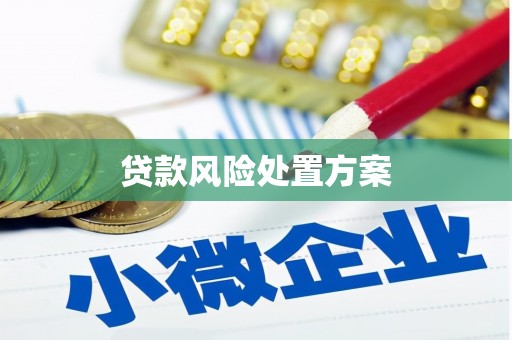 门源贷款风险处置方案