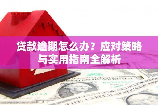 门源贷款逾期怎么办？应对策略与实用指南全解析