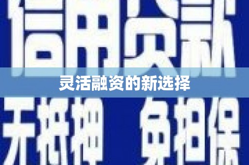 门源灵活融资的新选择