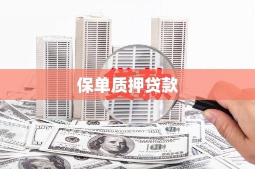 门源保单质押贷款