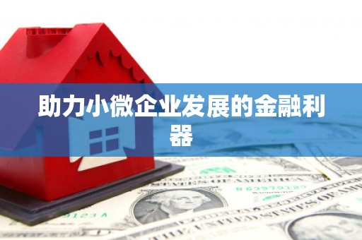 门源助力小微企业发展的金融利器