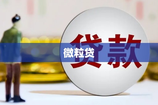 门源微粒贷