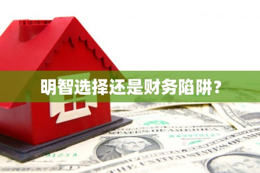 门源明智选择还是财务陷阱？