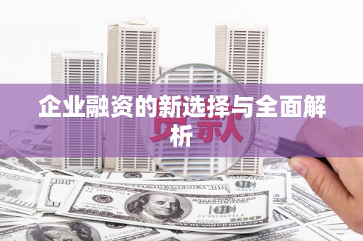 门源企业融资的新选择与全面解析