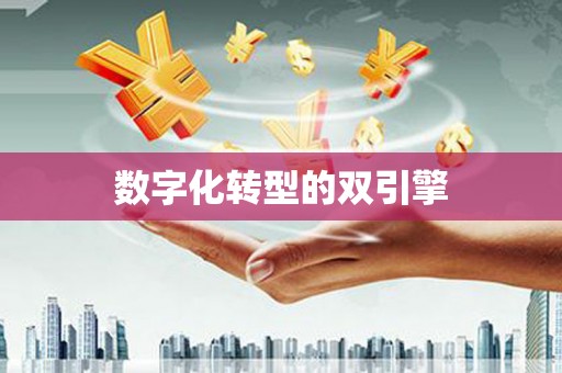 门源数字化转型的双引擎