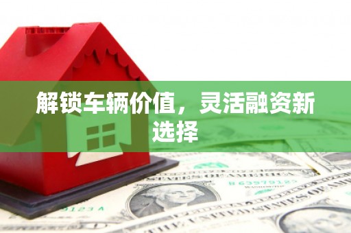 门源解锁车辆价值，灵活融资新选择