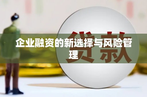 门源企业融资的新选择与风险管理