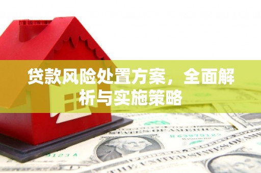 门源贷款风险处置方案，全面解析与实施策略