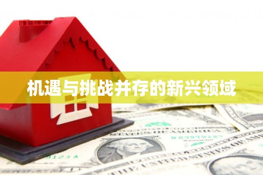 门源机遇与挑战并存的新兴领域