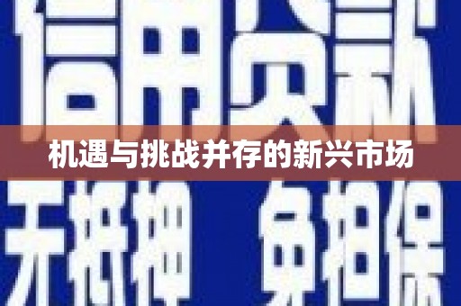 门源机遇与挑战并存的新兴市场
