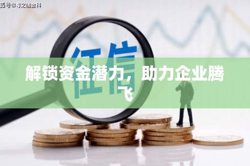 门源解锁资金潜力，助力企业腾飞