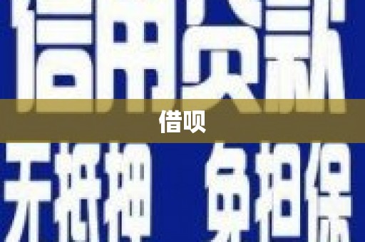 门源借呗