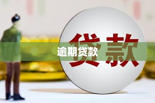 门源逾期贷款
