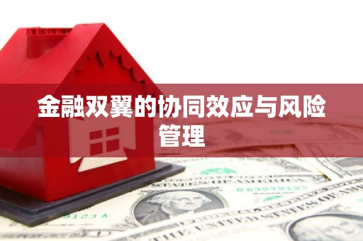 门源金融双翼的协同效应与风险管理