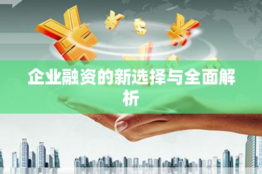 门源企业融资的新选择与全面解析