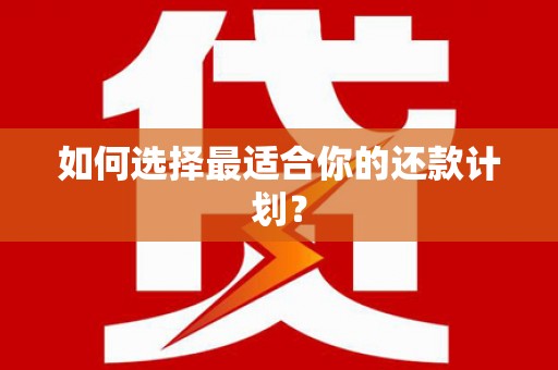门源如何选择最适合你的还款计划？