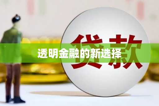 门源透明金融的新选择