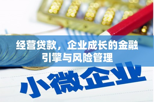 门源经营贷款，企业成长的金融引擎与风险管理