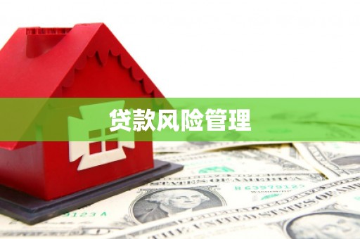 门源贷款风险管理