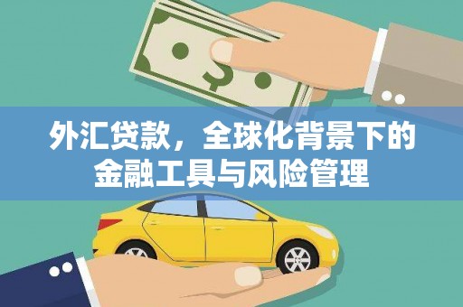 门源外汇贷款，全球化背景下的金融工具与风险管理