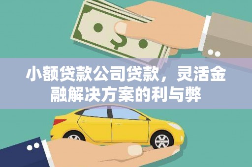 门源小额贷款公司贷款，灵活金融解决方案的利与弊