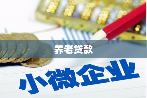 门源养老贷款