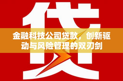门源金融科技公司贷款，创新驱动与风险管理的双刃剑